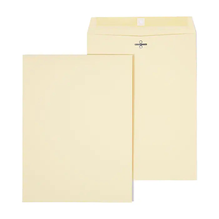 Staples Extra-Heavyweight Clasp & Moistenable Glue Catalog Envelopes, 9"L x 12"H, Manila, 100/Box (121962/19276)